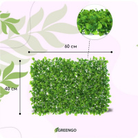 Декоративная панель, 60 &times; 40 см, &laquo;Мокрица&raquo;, Greengo
