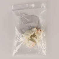 Миниатюра кукольная &laquo;Котик&raquo;, набор 3 шт., размер 1 шт. &mdash; 2 &times; 2 &times; 3,5 см