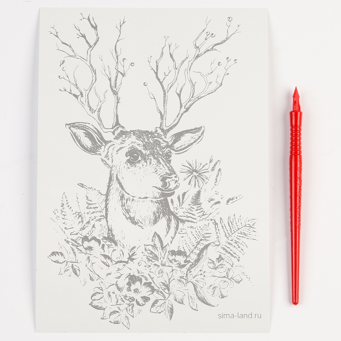 Гравюра. Набор гравюр &laquo;Звери&raquo;, А5, 4 шт