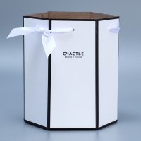 Переноска складная шестигранник «Счастье», 17 × 14,8 × 19,5 см Переноска складная шестигранник «Счастье», 17 × 14,8 × 19,5 см