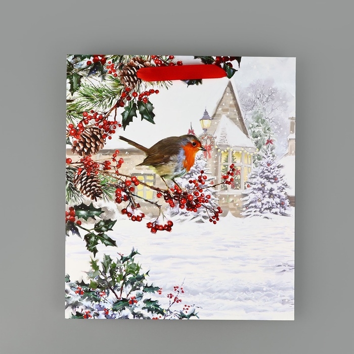 Пакет подарочный новогодний ламинированный &laquo;Зимнее утро&raquo;, M 30 х 26 х 9 см, Новый год