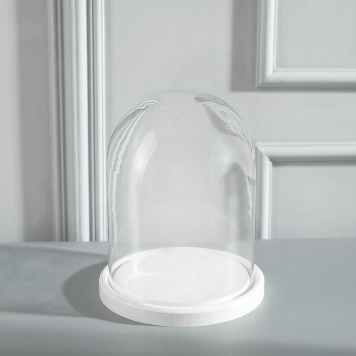 Стеклянный купол-клош на деревянной подставке Стеклянный купол-клош на деревянной подставке "Венсан - 1", 20х15 см, белый