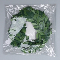 Лиана искусственная для декора &laquo;Папоротник&raquo;, 3 метра, 13 &times; 13 &times; 2 см