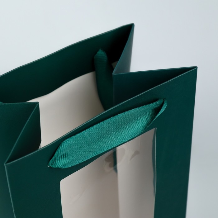 Пакет подарочный под бутылку, упаковка, &laquo;Present&raquo;, 36 х 13 х 10 см