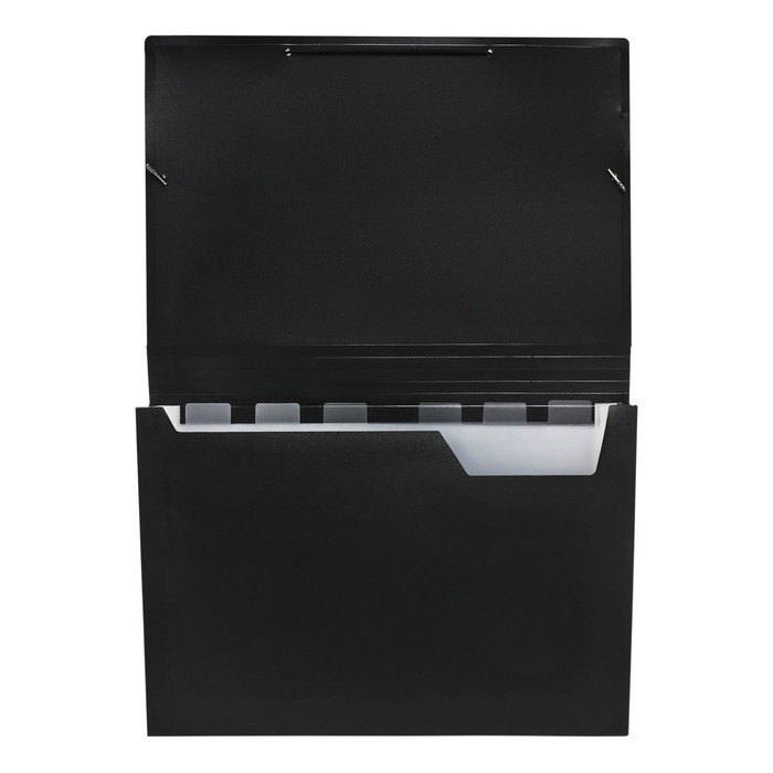 Папка картотека А4, Calligrata, 6 отделений, пластиковая, 700 мкм, чёрная