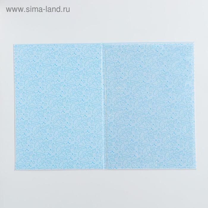 Папка для свидетельства о рождении для мальчика &laquo;Кошечка&raquo;, А4