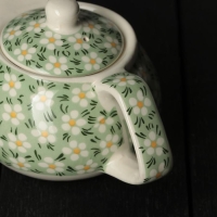 Чайник заварочный &laquo;Весеннее цветение&raquo;, 200 мл , с металлическим ситом, цвет зеленый