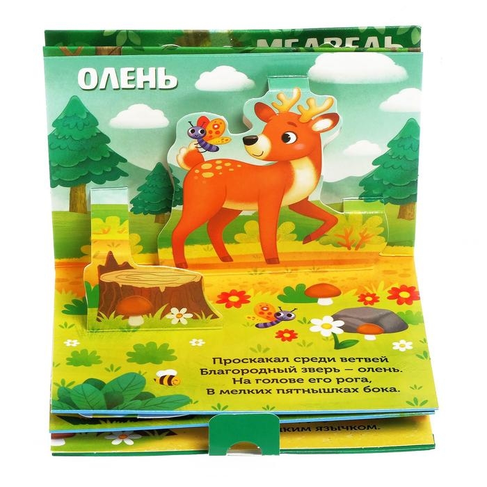 Книжка-панорамка 3D &laquo;Кто прячется в лесу?&raquo; 12 стр.