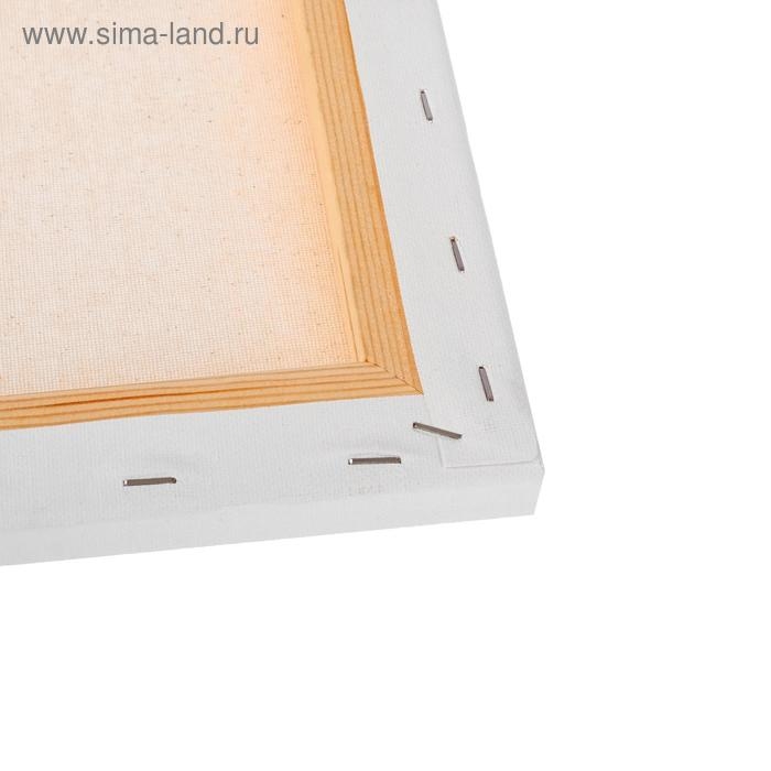 Холст на картоне 50 х 60 см, хлопок 100%, 2 мм, акриловый грунт, АКВАРЕЛЬНЫЙ, мелкозернистый, Гамма "Московская палитра"