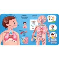 Энциклопедия с окошками «Тело человека» Энциклопедия с окошками «Тело человека»