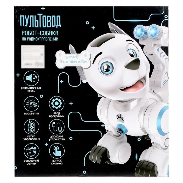 Робот собака &laquo;Дружок&raquo; ZHORYA, программируемый, на пульте управления, интерактивный: звук, свет, сенсорный, реагирует на голос, на аккумуляторе