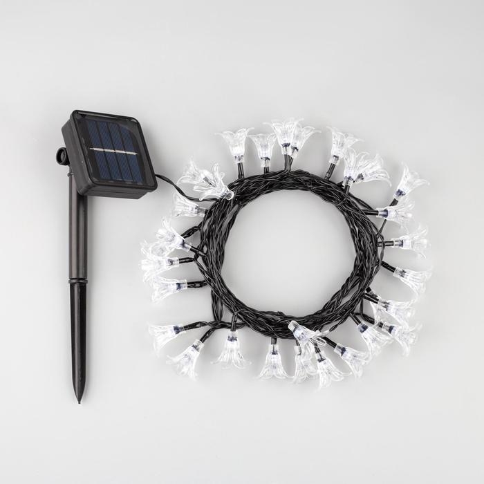 Гирлянда &laquo;Нить&raquo; 4.5 м с насадками &laquo;Цветы&raquo;, IP44, тёмная нить, 30 LED, свечение жёлтое/аквамарин, 2 режима, солнечная батарея