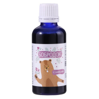 Сироп &laquo;Бобродок&raquo; без сахара с шикшей, для гиперактивных детей, 50 мл