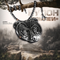 Кулон-амулет &laquo;Помпеи&raquo; медведь, цвет чернёное серебро, 70 см