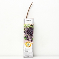 Йошта (крыжовник х смородина, йоштаберри) "Рекст" 1 шт, туба, Весна 2025