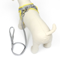 Комплект с мягкой шлейкой, размер XXS, поводок 150 х 1,5 см, ОГ 28-30 см,ОШ 24-26 см, жёлтый Комплект с мягкой шлейкой, размер XXS, поводок 150 х 1,5 см, ОГ 28-30 см,ОШ 24-26 см, жёлтый