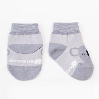 Набор носков Крошка Я &laquo;Коала&raquo;, 2 пары, 10-12