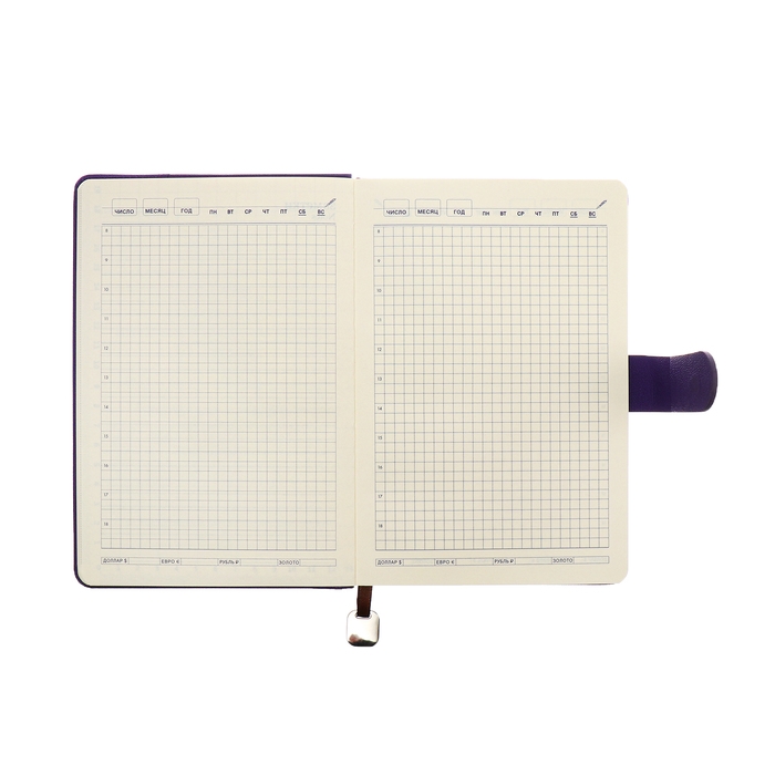 Ежедневник недатированный А5, 140л, клетка, к/зам, с ручкой, в подар. короб., Фиолетовый