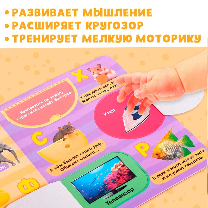 Книжка картонная с окошками &laquo;Алфавит&raquo;, 10 стр.