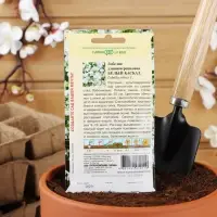 Семена цветов Лобелия ампельная "Белый каскад", ц/п,  0,01 г