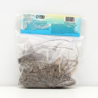 Флокс метельчтый Miss pepper корневище в пакете с торфогрунтом, р-р II, 2 шт.