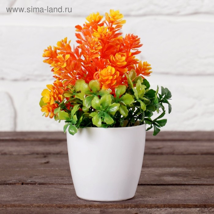 Бонсай в горшке Бонсай в горшке "Азалия" 6х15 см, микс