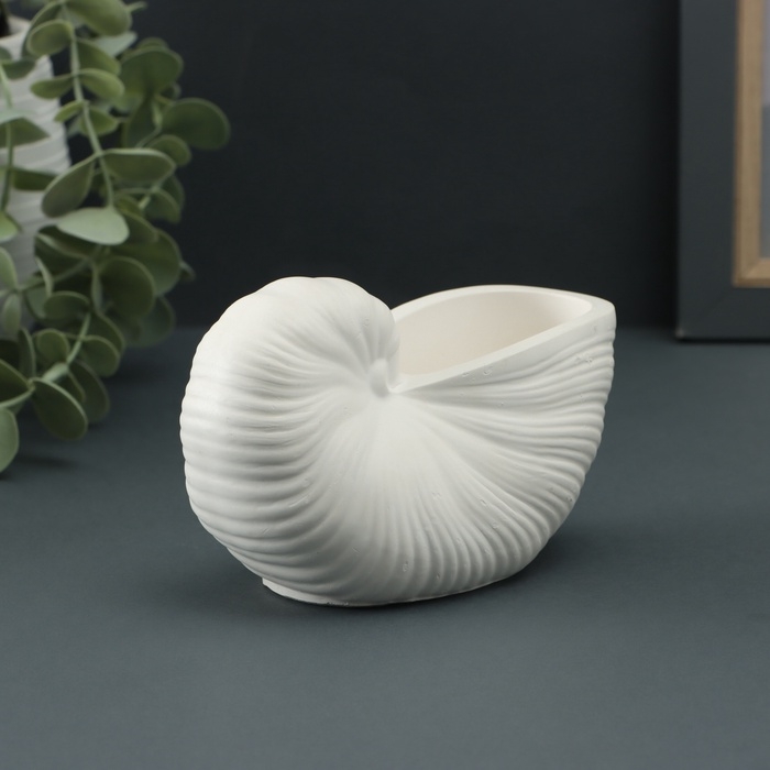 Гипсовая ваза декоративная настольная &laquo;Ракушка&raquo;, для цветов, сухоцветов, 8&times;13х7см, белый