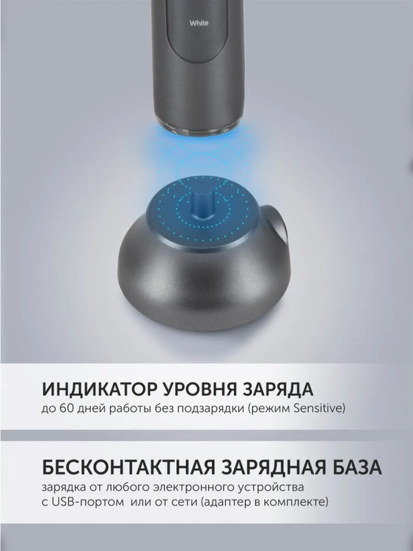 Электрическая зубная щетка PETB 0220 T