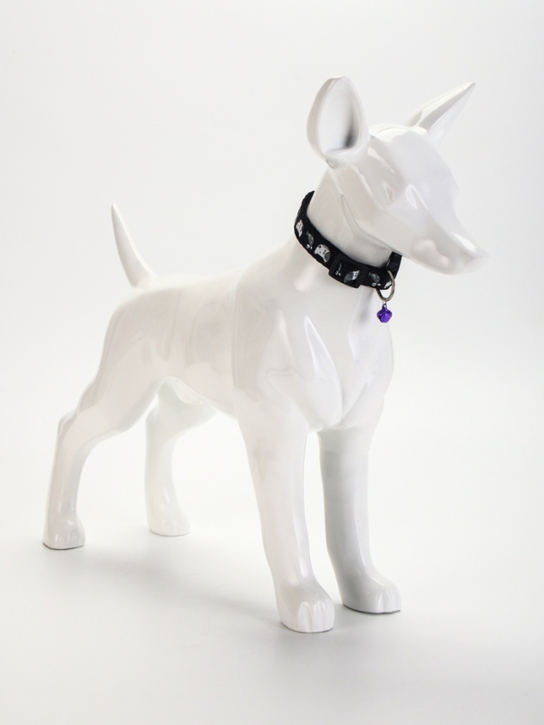 Ошейник "Котята", 40 х 1,5 см, черный