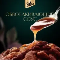 Влажный корм Sheba для кошек, ломтики в соусе говядина, пауч, 75 г