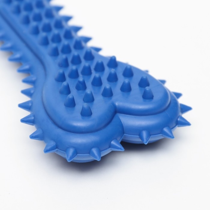 Игрушка жевательная литая Игрушка жевательная литая "Кость для массажа" большая, 15 х 6 х 2,5 см, синяя