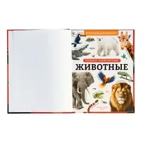 Энциклопедия в твёрдом переплёте "Животные", 128 страниц