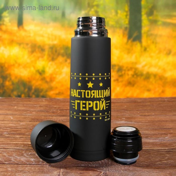 Набор посуды для пикника &laquo;Защитник&raquo;, термос 500 мл, кружка 180 мл, 2 шт