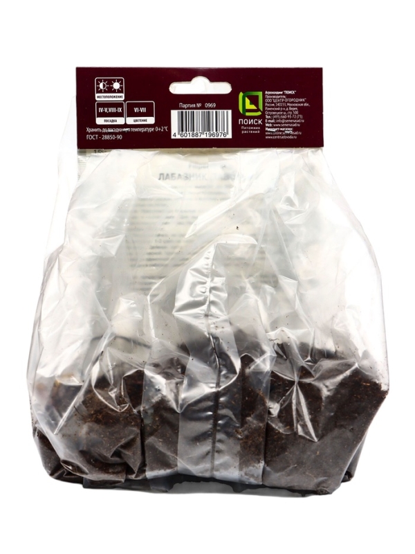 Лабазник вязолистный Вариегата, р-р I, 1 шт, Весна 2025 Лабазник вязолистный Вариегата, р-р I, 1 шт, Весна 2025