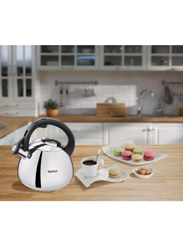 Чайник для плиты Duetto+ N4180110, 2.7 л, стальной