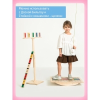Балансборд &laquo;Доска Бильгоу&raquo; + 12 предметов, комплект &laquo;Успех Макси&raquo; для мозжечковой стимуляции