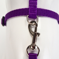 Комплект для кошек, ширина 1 см, ОШ 16,5-27 см, ОГ 21-35 см, поводок 120 см, фиолетовый