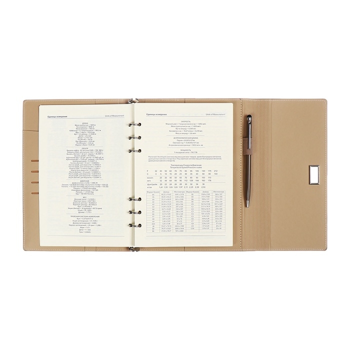 Органайзер на кольцах А5, 100л, линия, к/зам, с ручкой, в подар. короб., Серый