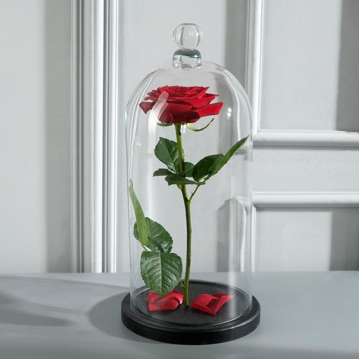 Стеклянный купол-клош с шариком на деревянной подставке Стеклянный купол-клош с шариком на деревянной подставке "Родрик", 34х15 см, стекло, черный