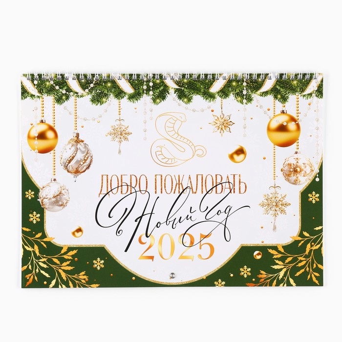 Календарь 2025 настенный, на спирали &laquo;Новый год: Добро пожаловать&raquo;, 34 х 24 см