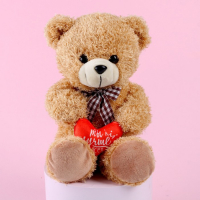 Мягкая игрушка «Ты лучше всех», медведь, цвета МИКС Мягкая игрушка «Ты лучше всех», медведь, цвета МИКС