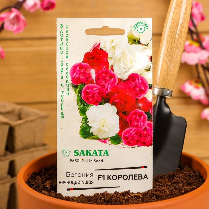 Семена цветов Бегония Семена цветов Бегония "Королева", F1, вечноцветущая, махровая, смесь, гранулы, 4 шт