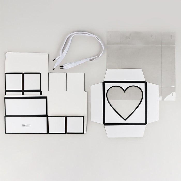 Коробка для цветов с формовым вкладышем и PVC крышкой &laquo;Present&raquo;, 23.5 х 23.5 х 15 см