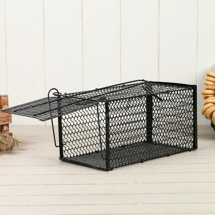 Крысоловка, 27 × 14 × 14 см, металлическая, Greengo Крысоловка, 27 × 14 × 14 см, металлическая, Greengo