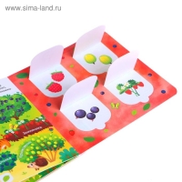 Книга картонная с окошками «В лесу, саду и огороде», 10 стр. Книга картонная с окошками «В лесу, саду и огороде», 10 стр.