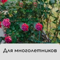 Чехол для укрытия растений, металлический каркас, 100 × 65 см, спанбонд с УФ-стабилизатором, плотность 60 г/м² Чехол для укрытия растений, металлический каркас, 100 × 65 см, спанбонд с УФ-стабилизатором, плотность 60 г/м²