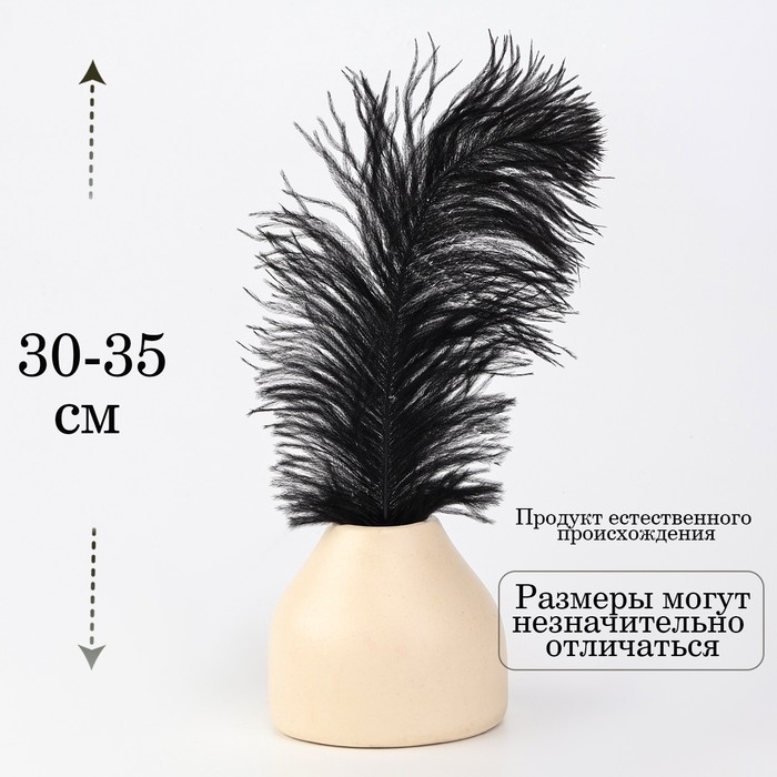 Перо для декора, размер: 30-35 см, цвет чёрный Перо для декора, размер: 30-35 см, цвет чёрный