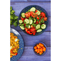 Тарелка глубокая керамическая Доляна «Бодом», d=21 см, цвет синий Тарелка глубокая керамическая Доляна «Бодом», d=21 см, цвет синий