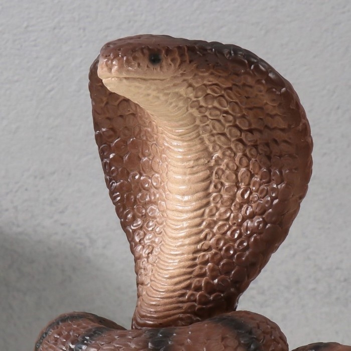 Фигурка "КОБРА НА СУНДУКЕ"  20  х 17  х 12 см.