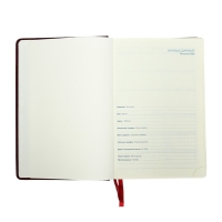 Ежедневник датированный 2025 года, A5, 168 листов в линейку, кожзам "Небраска", золотой срез, бордовый